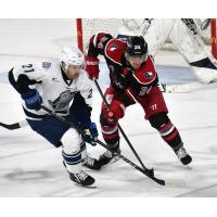 Allen Americans left wing Harrison Blaisdell