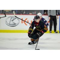 Vancouver Giants defenceman Ryan Lin in action