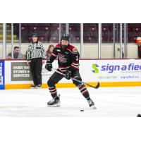 Peterborough Petes defenceman Luis Sturgeon