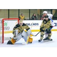 Wheeling Nailers goaltender Taylor Gauthier