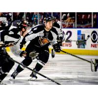 Utah Grizzlies defenseman Joey Raats