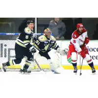 Allen Americans RW Zach Pochiro (18) vs. the Wheeling Nailers