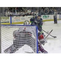 Maine Mariners forward Drew Melanson readies his shot