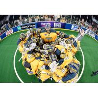 Georgia Swarm huddle