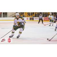 Alberta Golden Bear Luke Philp