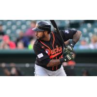 Jordany Valdespin with the Long Island Ducks