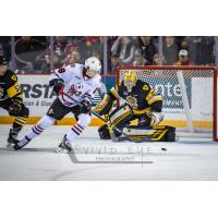 Niagara IceDogs defenseman Aaron Haydon eyes the Hamilton Bulldogs' goal