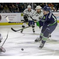 Forward Greg Chase with the Maine Mariners