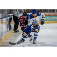 Forward Michael Economos with the Roanoke Rail Yard Dawgs
