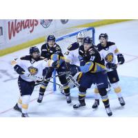 Norfolk Admirals battle the Toledo Walleye