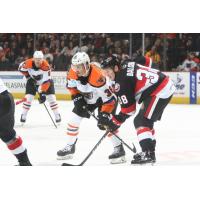 Lehigh Valley Phantoms LW Alex Krushelnyski awaits puck drop against the Belleville Senators