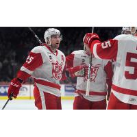 Grand Rapids Griffins exchange congratulations after a goal