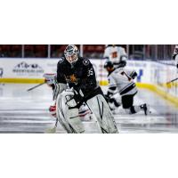 Utah Grizzlies Joe Cannata warming up
