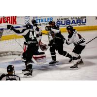 Utah Grizzlies celebrate their goal against the Rapid City Rush