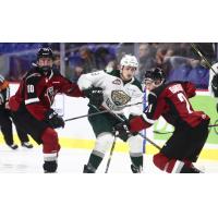 Vancouver Giants forwards Zack Ostapchuk (left) and Aidan Barfoot against the Everett Silvertips