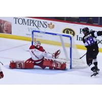 Allen Americans goaltender Kyle Hayton sprawls to make a save against the Reading Royals