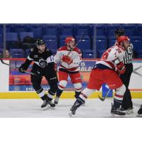 Allen Americans battle the Manchester Monarchs