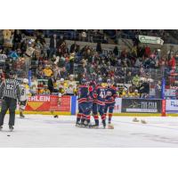 Saginaw Spirit celebrate Albert Michnac's Teddy Bear goal