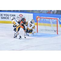 Lehigh Valley Phantoms RW Colin McDonald tests the Wilkes-Barre/Scranton Penguins goaltender