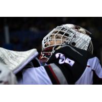 Vancouver Giants goaltender David Tendeck