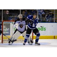 Vancouver Giants goaltender David Tendeck against the Victoria Royals