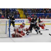 Allen Americans goaltender Kyle Hayton vs. the Manchester Monarchs