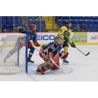 Allen Americans goaltender Kyle Hayton vs. the Reading Royals