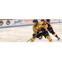 South Carolina Stingrays forward Jonathan Charbonneau