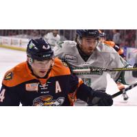 Greenville Swamp Rabbits vs. the Florida Everblades
