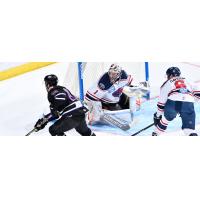 South Carolina Stingrays goaltender Angus Redmond against the Orlando Solar Bears