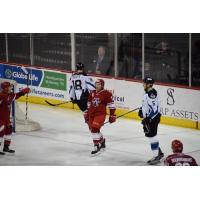 Allen Americans forward Alex Ranger celebrates his goal against the Idaho Steelheads