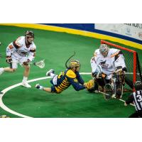 Georgia Swarm forward Lyle Thompson dives against the New England Black Wolves