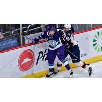 Orlando Solar Bears vs. the Greenville Swamp Rabbits