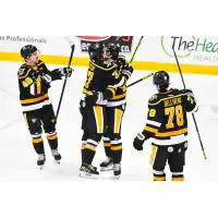 Wheeling Nailers celebrate a goal