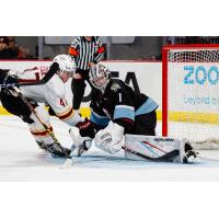 Vancouver Giants defenceman Mazden Leslie looks for a score vs. the Portland Winterhawks