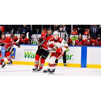 Grand Rapids Griffins center Nate Danielson vs. the Rockford IceHogs