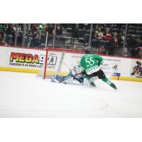 Tucson Roadrunners defenseman Max Szuber