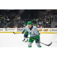 Florida Everblades defenseman Sean Allen