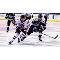 Wichita Thunder vs. the Rapid City Rush