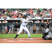 Dayton Dragons outfielder Carlos Jorge