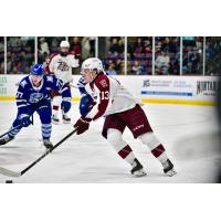 Peterborough Petes' Gavin Bryant and Brampton Steelheads' Troy Patton in action