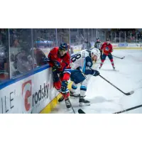 Springfield Thunderbirds' Mackenzie MacEachern and Milwaukee Admirals' Ryder Rolston in action