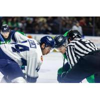 Worcester Railers' Anthony Callin in action