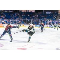 Tulsa Oilers' Mike McKee and Tahoe Knight Monsters' Simon Pinard in action