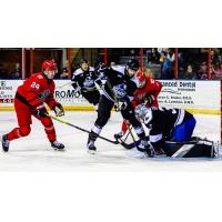 Wichita Thunder battle the Rapid City Rush