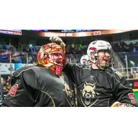 Albany Firewolves goaltender Doug Jamieson is congratulated by teammates