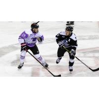 Wichita Thunder battle the Rapid City Rush