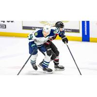 Adirondack Thunder take it on the chin against the Maine Mariners