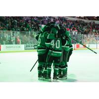 Texas Stars celebrate a goal