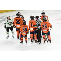Greenville Swamp Rabbits have a discussion with the Savannah Ghost Pirates